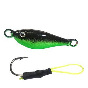 Jig Pindoca Preto Barriga Verde