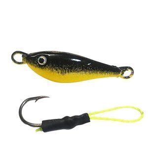 Jig Pindoca Preto Barriga Amarelo