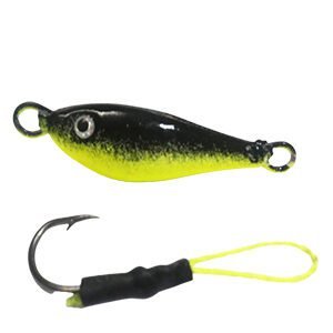 Jig Pindoca Preto Barriga Limão
