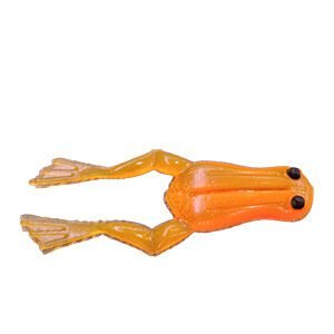 Sapo Frog Laranja Luminoso